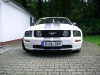 06er Mustang von Zwittius