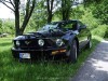 05er Mustang von 79T5Notchback