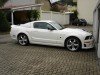 06er Mustang von Alex_Roush_GT