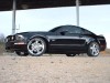 05er Mustang von DUSTI