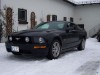 05er Mustang von mike_munich