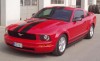 redstang_05_01.jpg