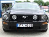 stang33_05_06.jpg