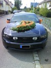 2010 Mustang von  Andy321