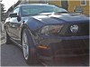 Mustang2010_004.jpg