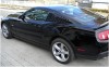 Mustang2010_007.jpg