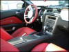 Mustang2010_010.jpg