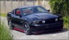 Mustang2010_014.jpg