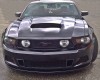 Mustang2010_016.jpg