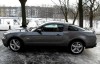 2010 Mustang von Terrorkuh