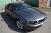 2010 Mustang von balou78