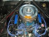 Mustang_Motor_014.jpg