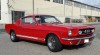 Fastback11.jpg