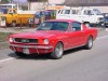 66er Mustang von Tina