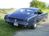 fastbackisback02.jpg