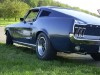 fastbackisback04.jpg