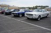 15. Wild Ponies of Hanau Mustang Treffen am 19.07.2015