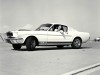 ShelbyMustangGT350.jpg